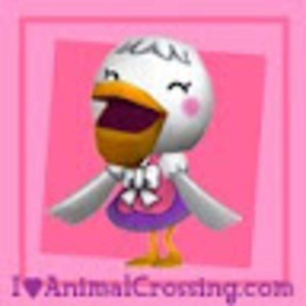 Meet your Posher, Chocolate Chip Muffin